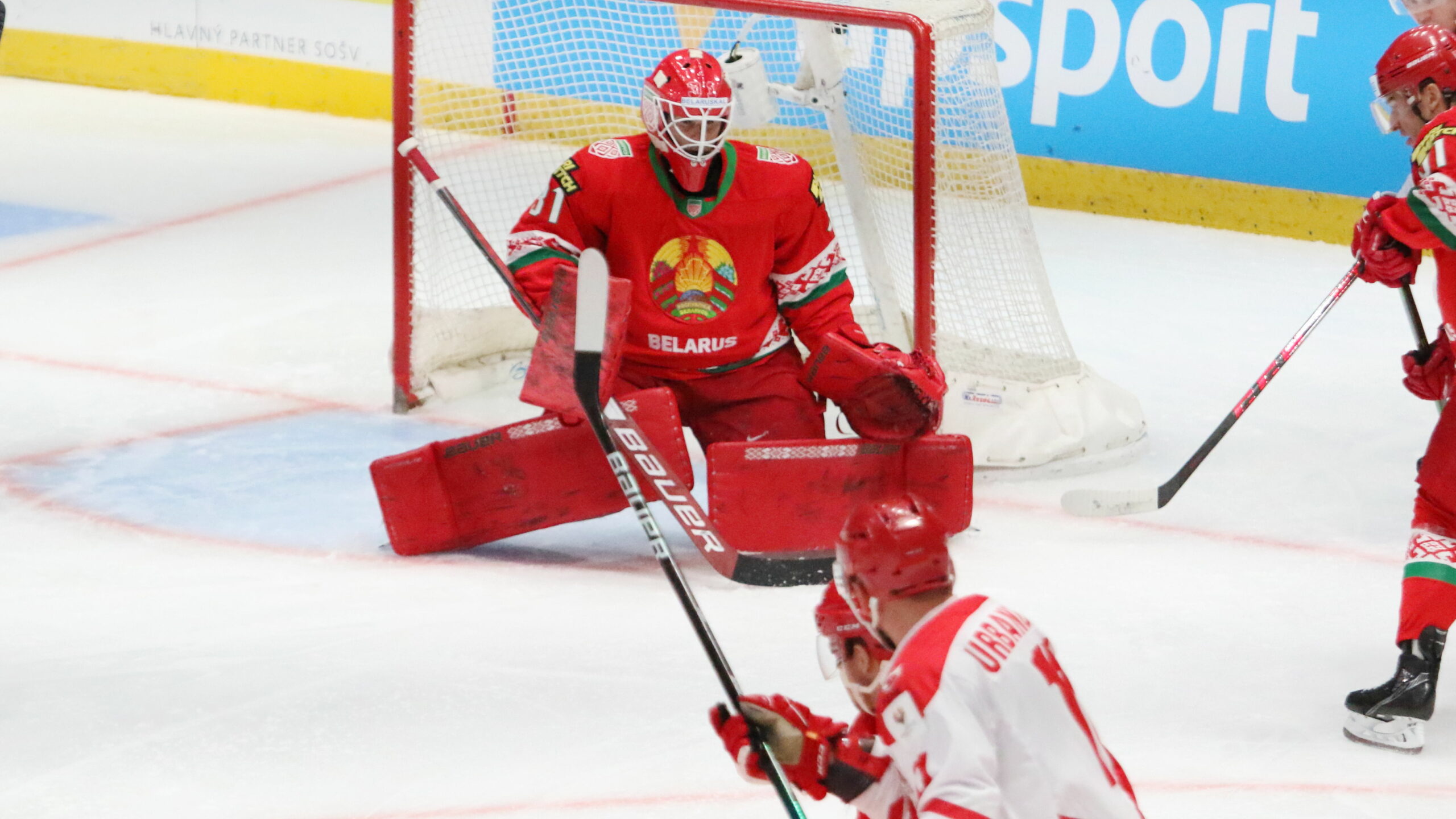 Olympic Qualification Men BLR - POL Danny Taylor #31 Zimny Stadion Ondreja Nepelu | Quelle: © Puckfans.at/Andreas Robanser