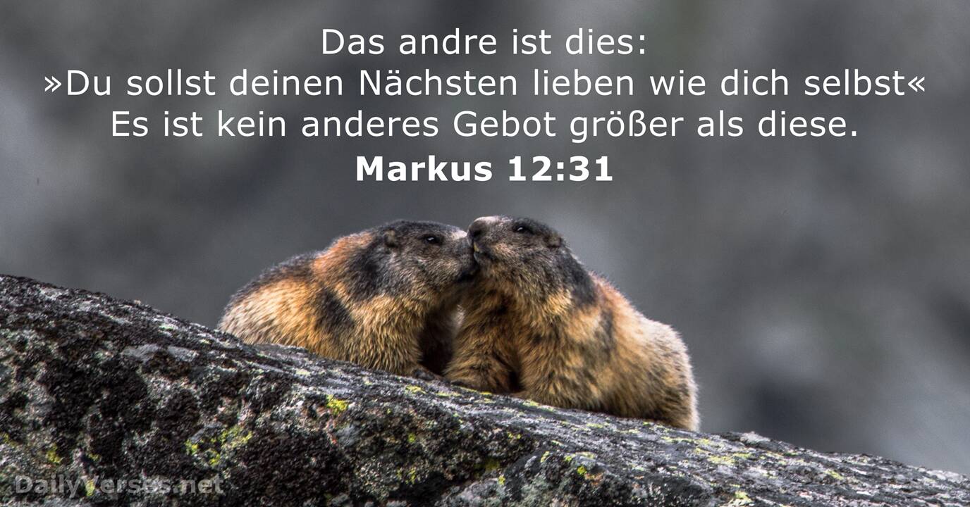Liebe Deinen Nächsten | Quelle: Pinterest