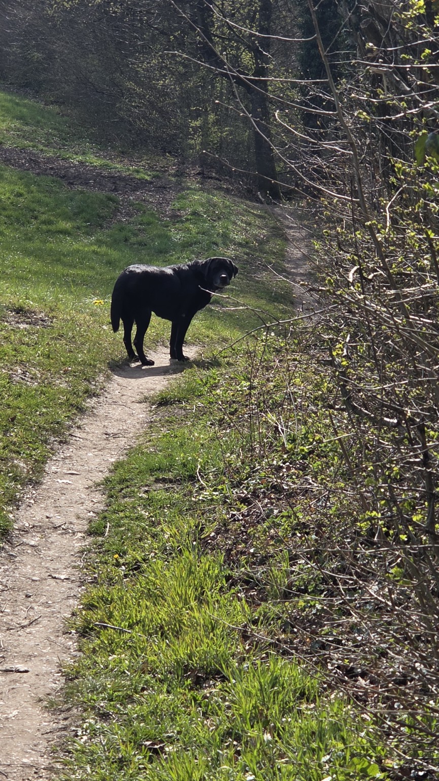 Mein Partner in Crime - Ich bin ja hier Mensch | Quelle: Urs Berger