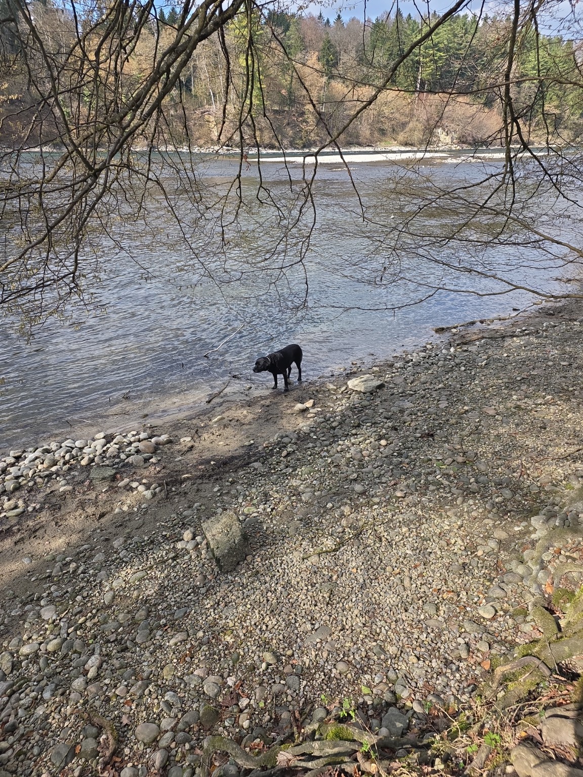 Ich bin nass - Na und? Was ist daran falsch, Mensch? | Quelle: Urs Berger